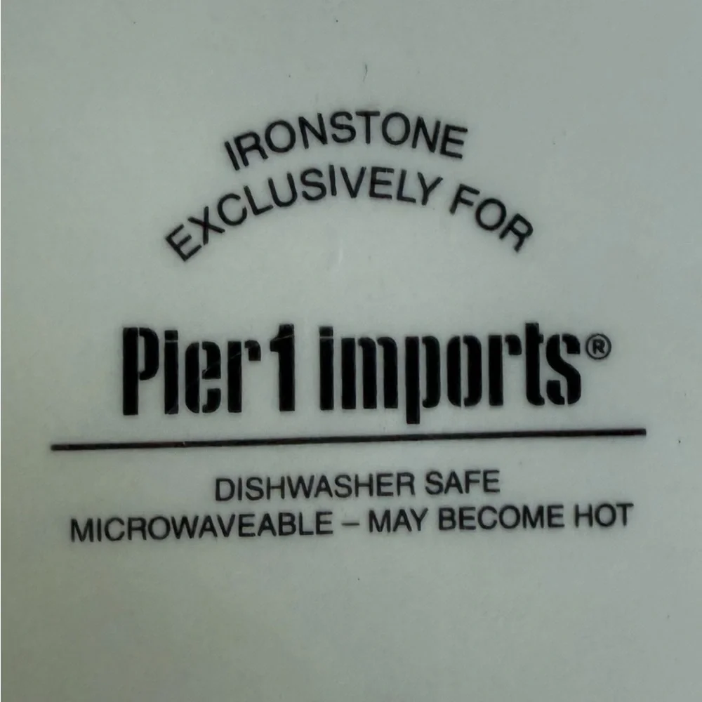 Pier 1 Imports Ironstone Plate Dogs & Cats with Headphones Design